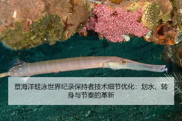 tan-hai-yang-wa-yong-shi-jie-ji-lu-bao-chi-zhe-ji-shu-xi-jie-you-hua-hua-shui-zhuan-shen-yu-jie-zou-de-ge-xin-3-870.jpg