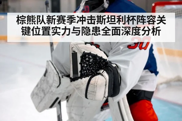 棕熊队新赛季冲击斯坦利杯阵容关键位置实力与隐患全面深度分析